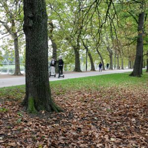 Vichy projet Culture Bains #2